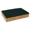 Schuurspons