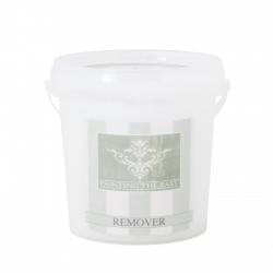Painting The Past Wax & Paint Remover