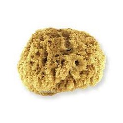Natuurspons